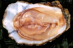 牡蛎是一种强大的性欲刺激剂